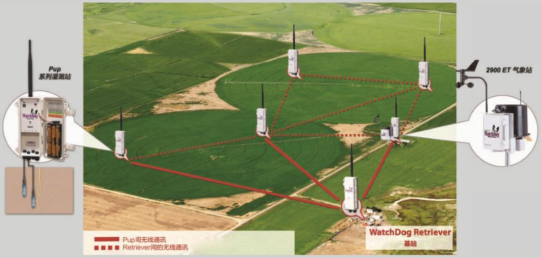图片8.jpg